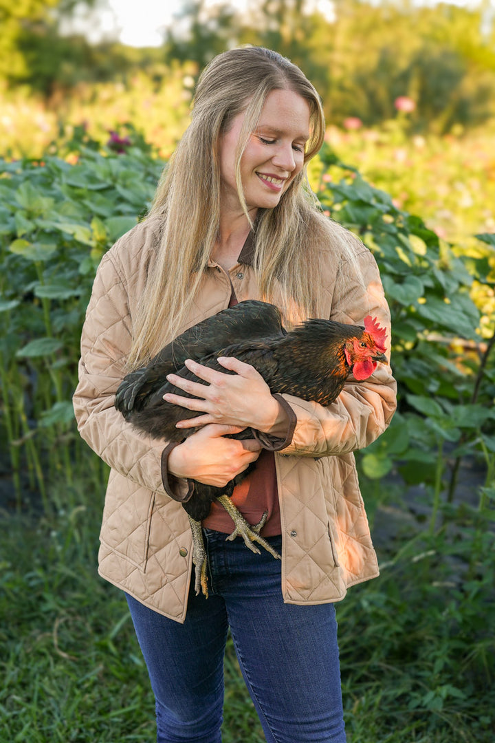 Backroads Contrast Collar Quilted Work Jacket