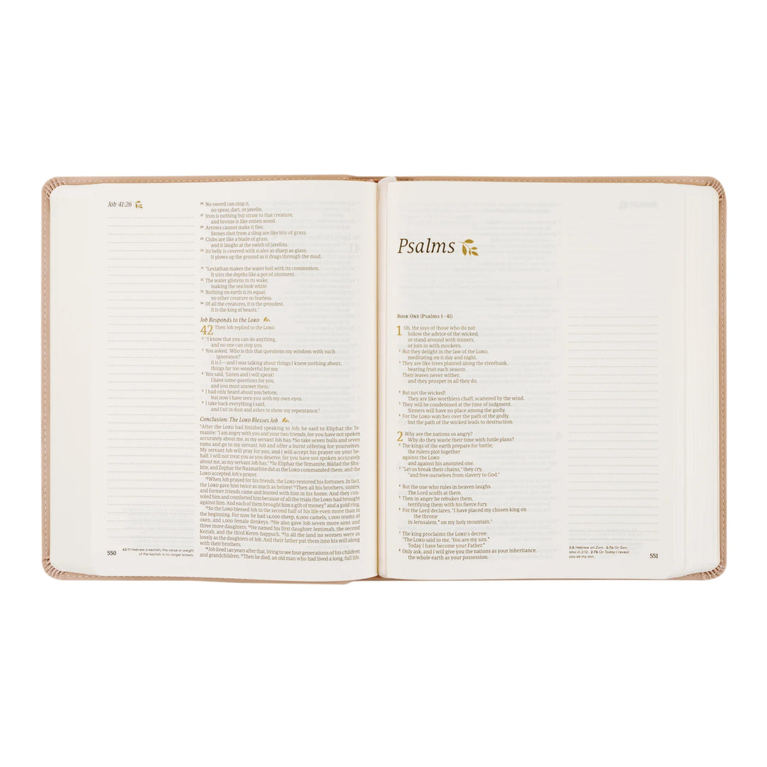 Hosanna Revival NLT Notetaking Bible: Shiloh Theme | Beautiful Bible | Pink Bible | Floral Bible