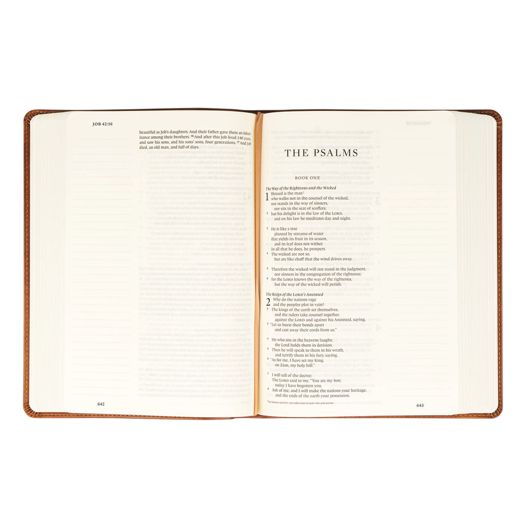 Hosanna Revival Bible Sierra Theme | Beautiful Bible | Journaling Bible