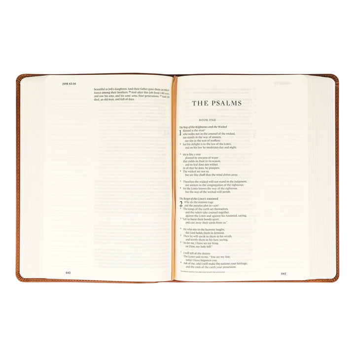 Hosanna Revival Bible Sierra Theme | Beautiful Bible | Journaling Bible