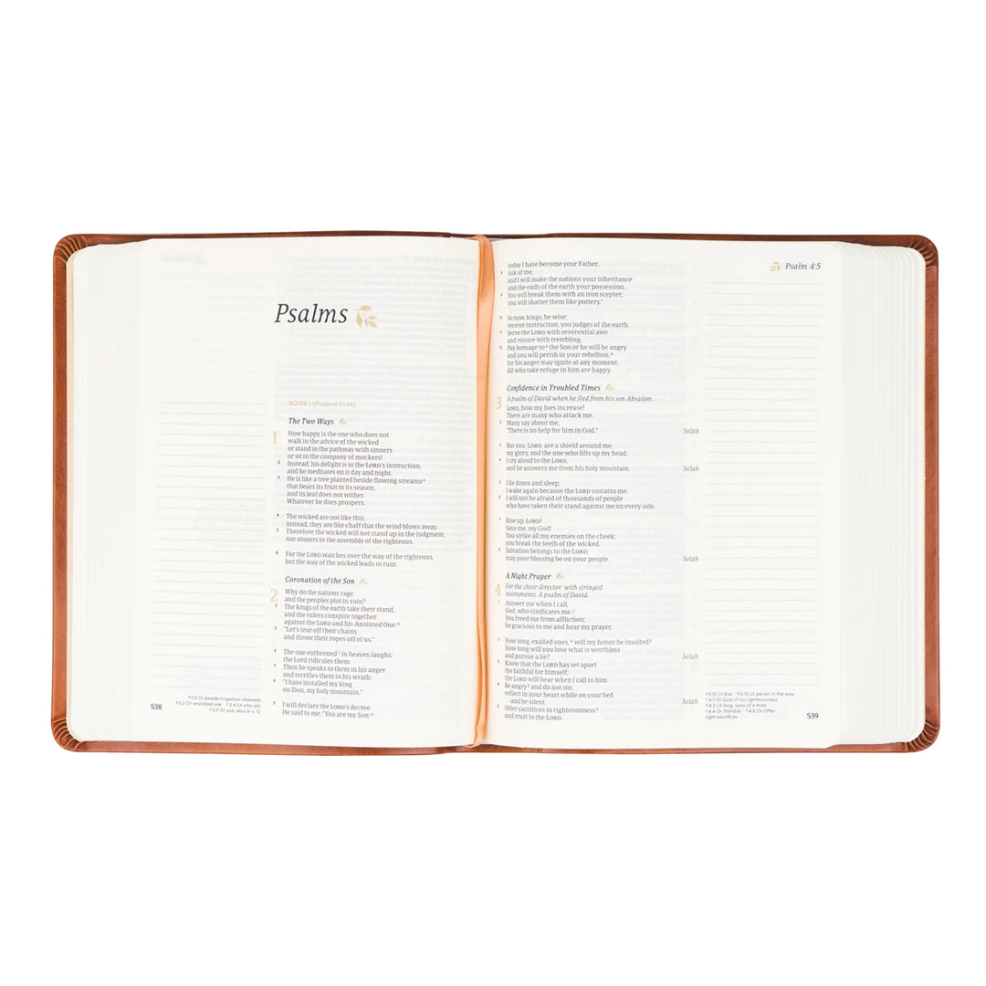 Hosanna Revival Bible Vienna Theme | Journal Bible | Beautiful Bible