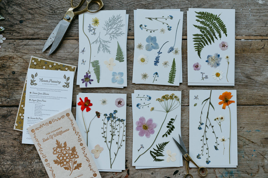 Pressed flowers and leaves on paper with scissors on a wooden surface