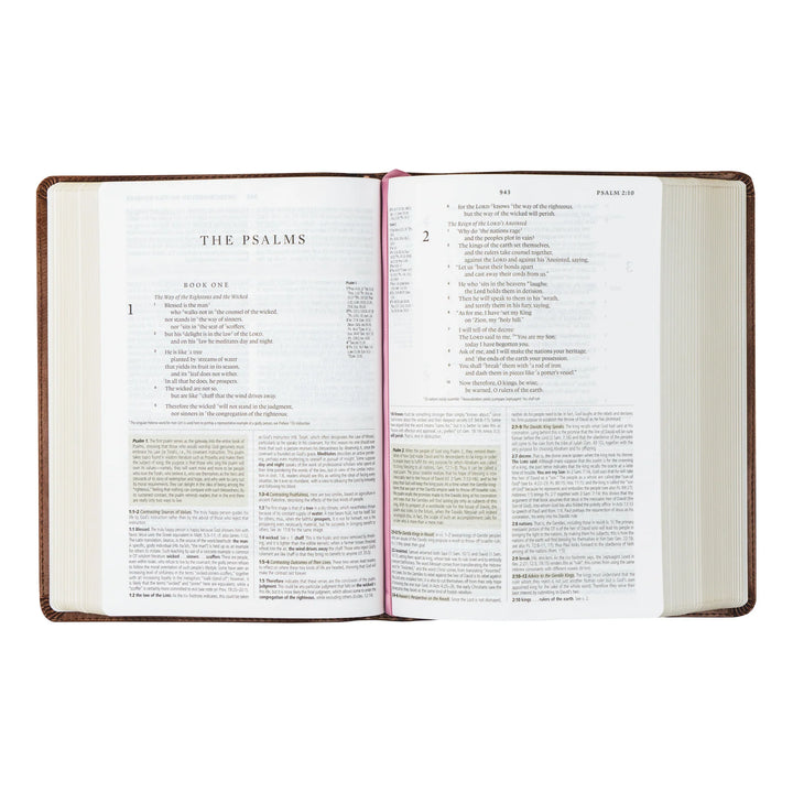 Hosanna Revival ESV Study Bible - Aurora Theme - Interior