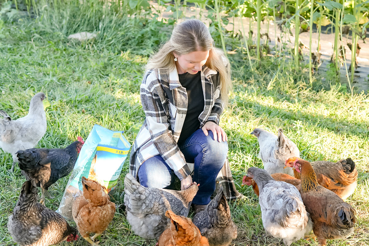 Woman feeding chickens in a grassy outdoor setting