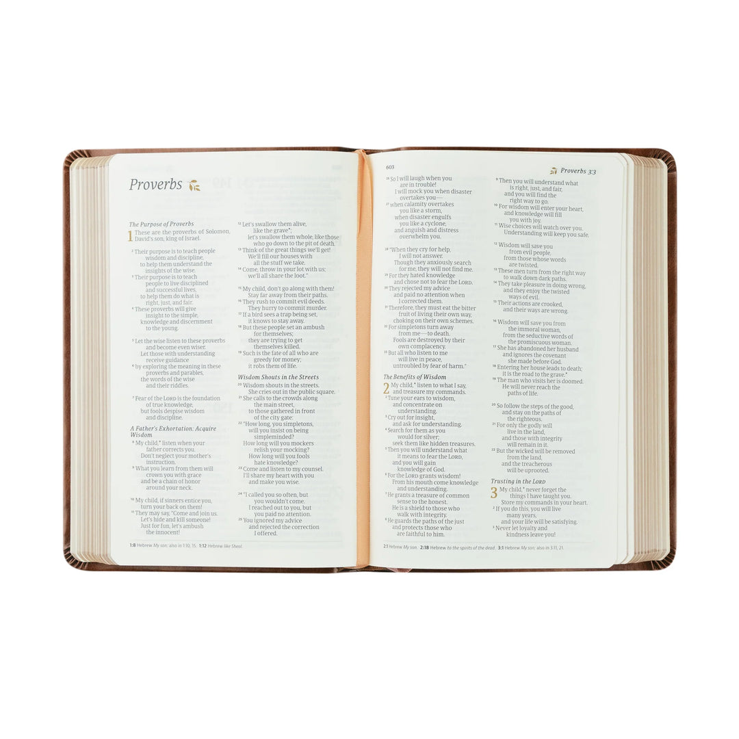 Hosanna Revival Compact NLT Bible: Aurora Theme | Beautiful Bible | Brown Floral Bible