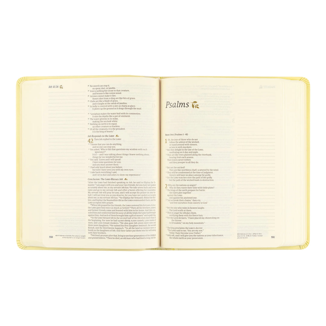 Open Bible with 'Psalms' section on a white background