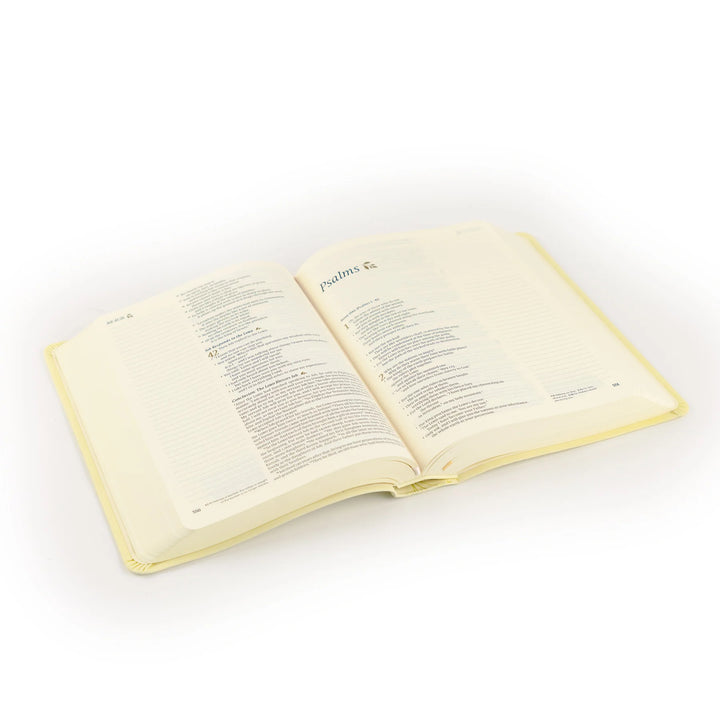 Open Bible on a white background