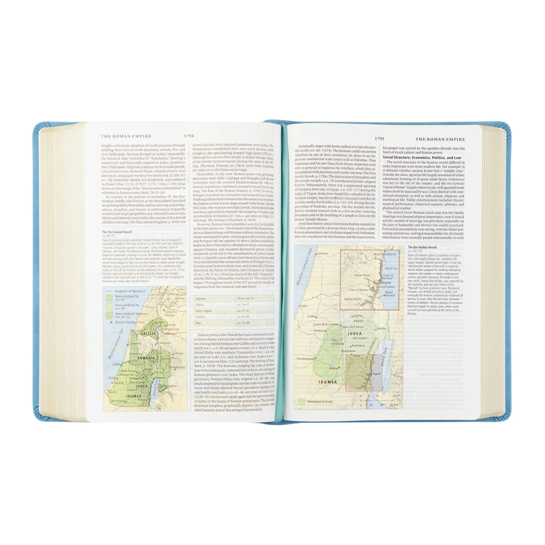 Hosanna Revival ESV Study Bible: Bethany Theme