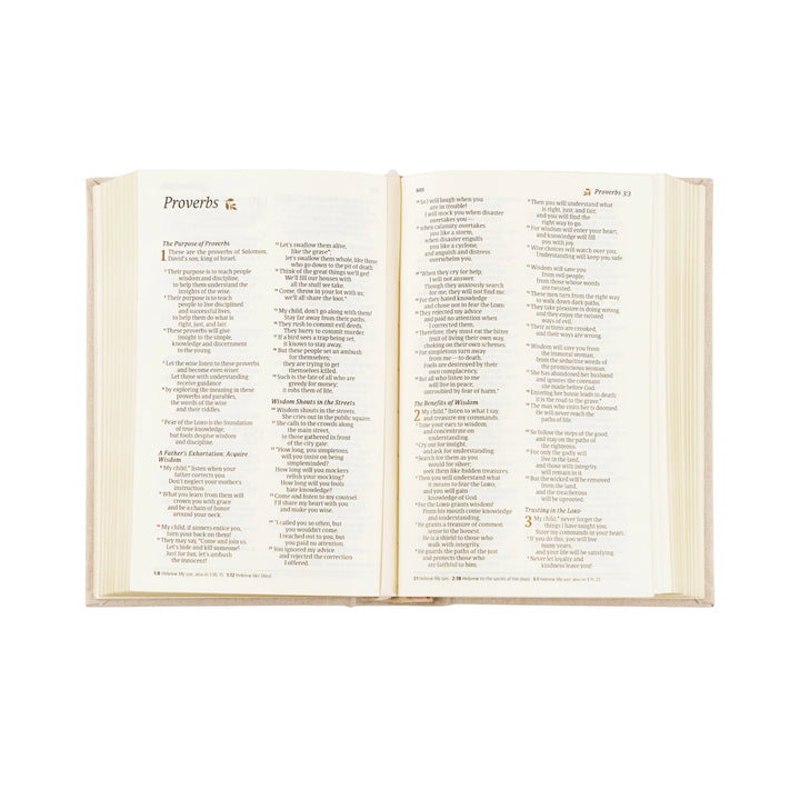 Open Bible displaying text on a white background