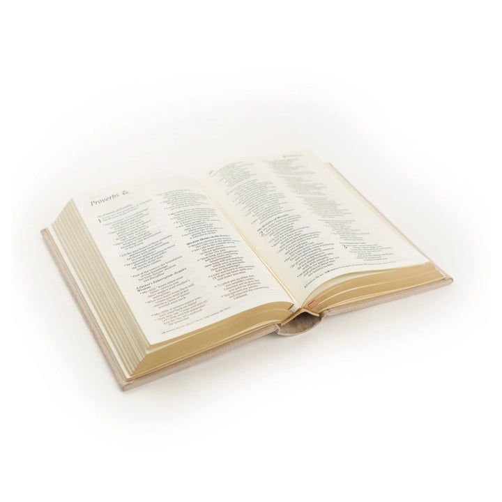 Open Bible on a white background