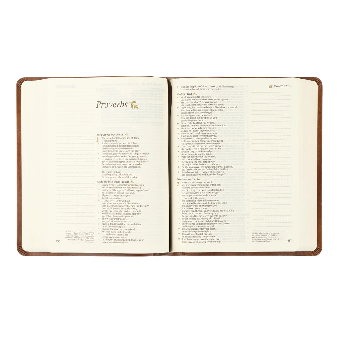 Open Bible with 'Proverbs' chapter on a white background