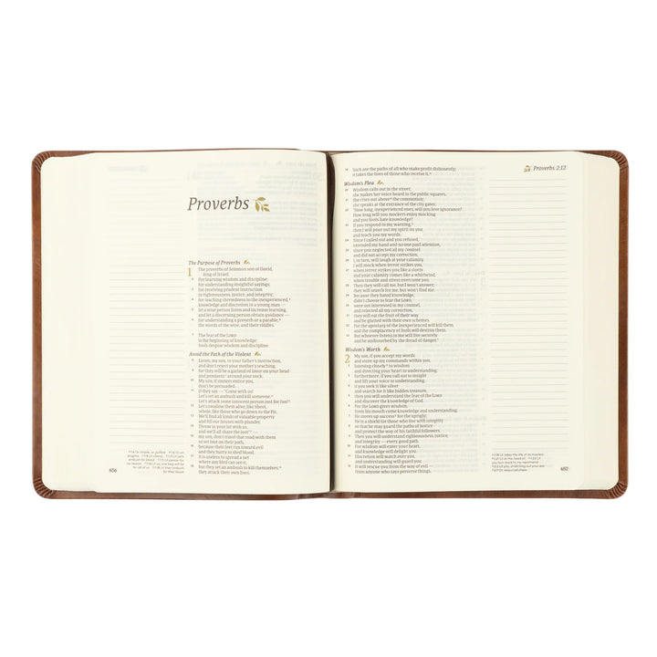 Open Bible with 'Proverbs' chapter on a white background