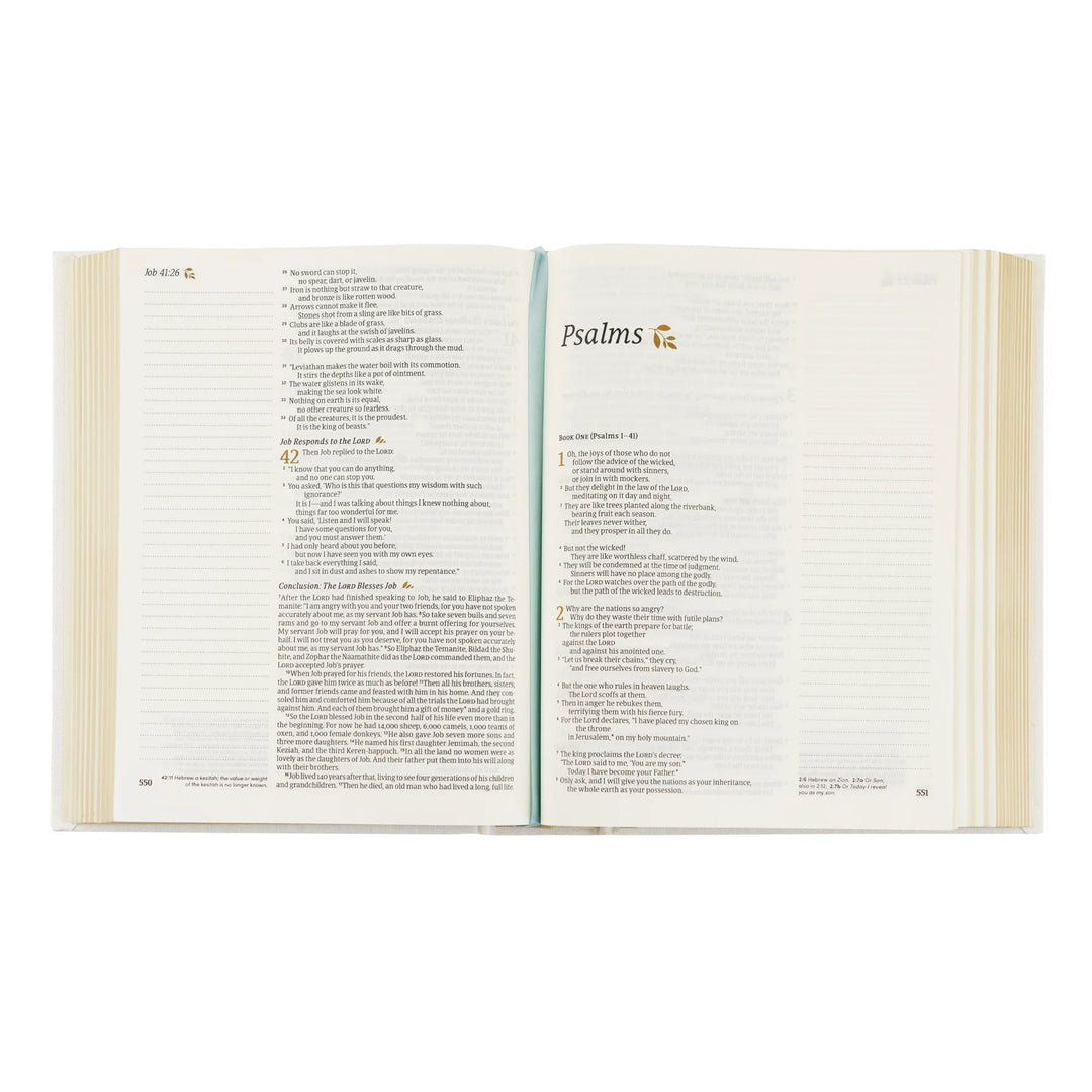 Open Bible showing the Psalms section on a white background