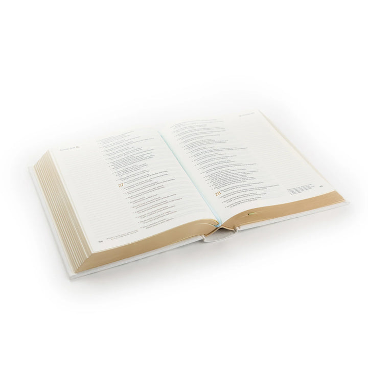 Open Bible on a white background