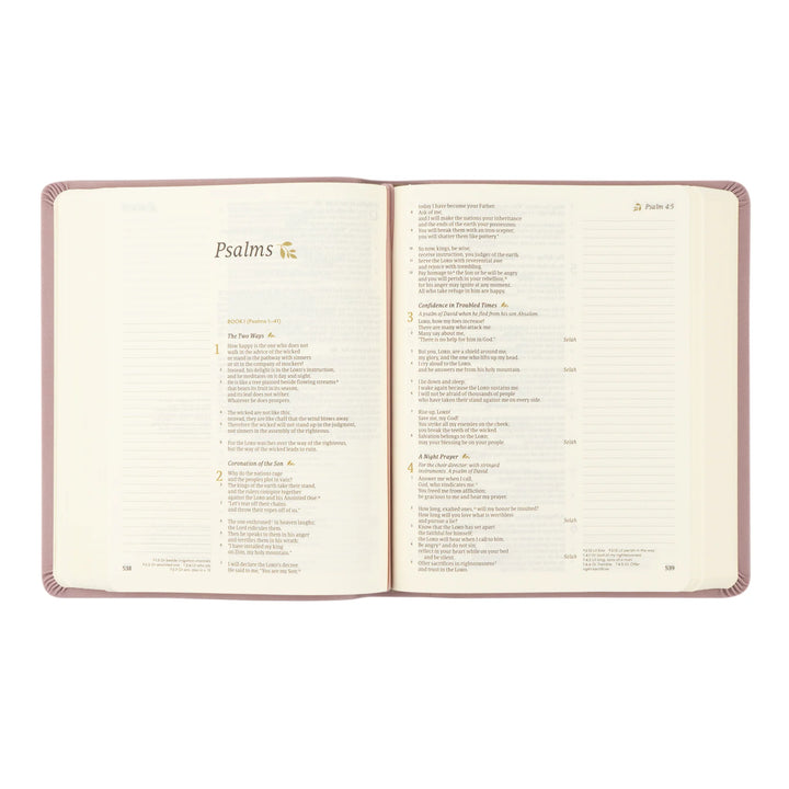 Open Bible with 'Psalms' section on a white background