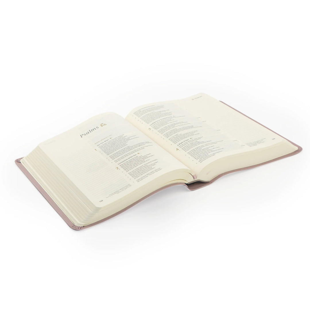 Open Bible on a white background