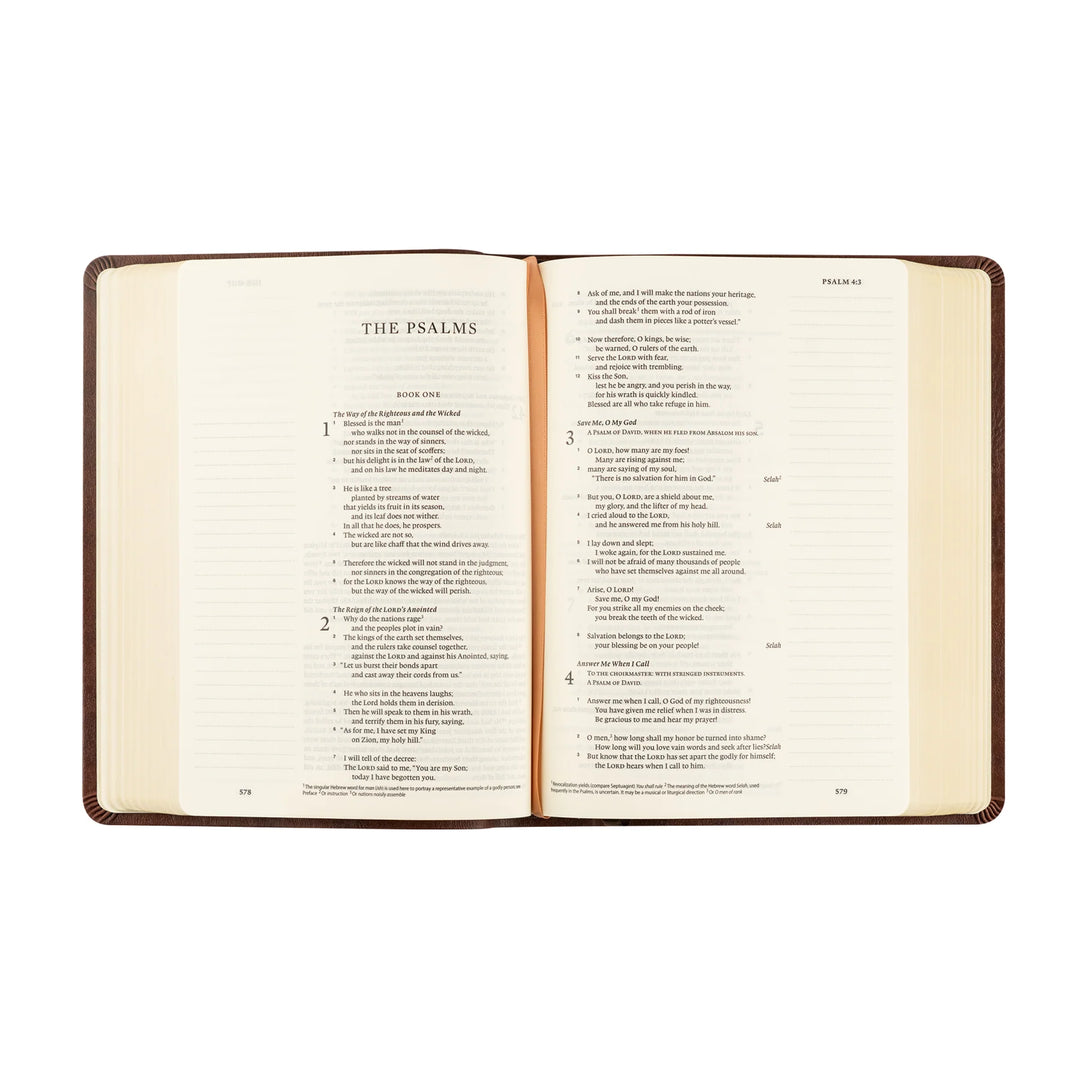 Open Bible displaying 'The Psalms' on a white background