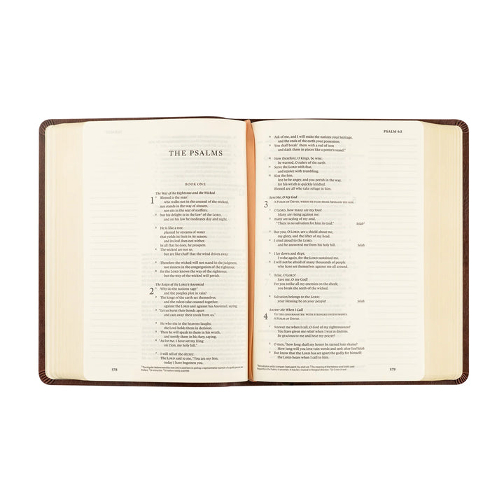 Open Bible displaying 'The Psalms' on a white background