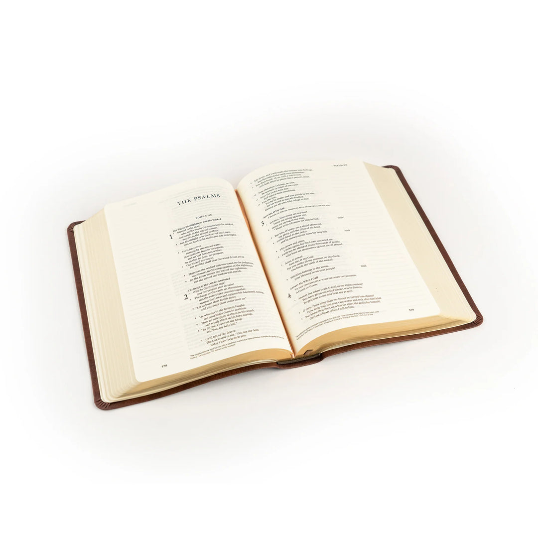 Open Bible on a white background