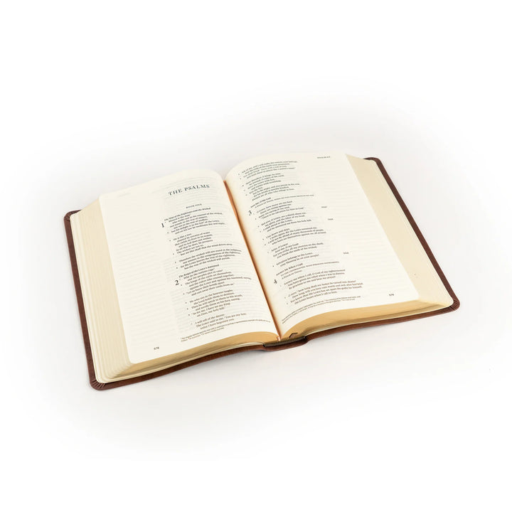 Open Bible on a white background