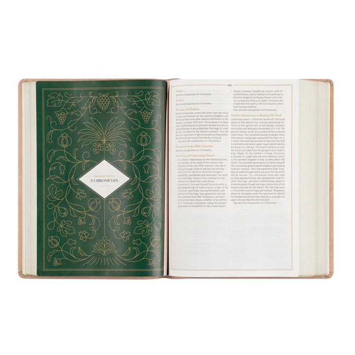 Open Bible with decorative green page on a white background