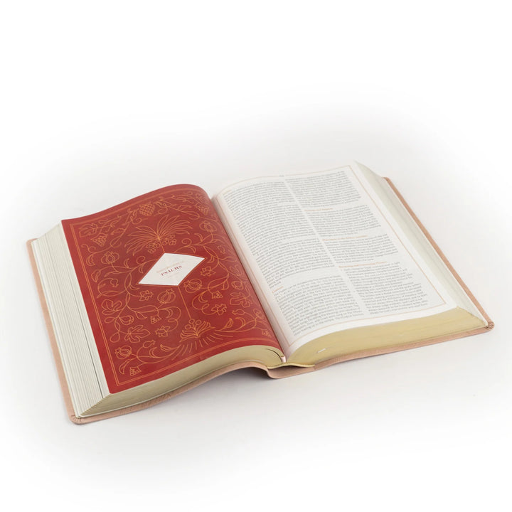 Open CSB study Bible with a red cover on a white background
