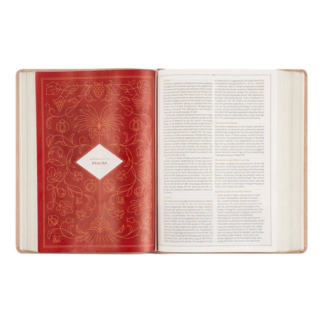 Open study Bible with decorative page and white text pages on a white background