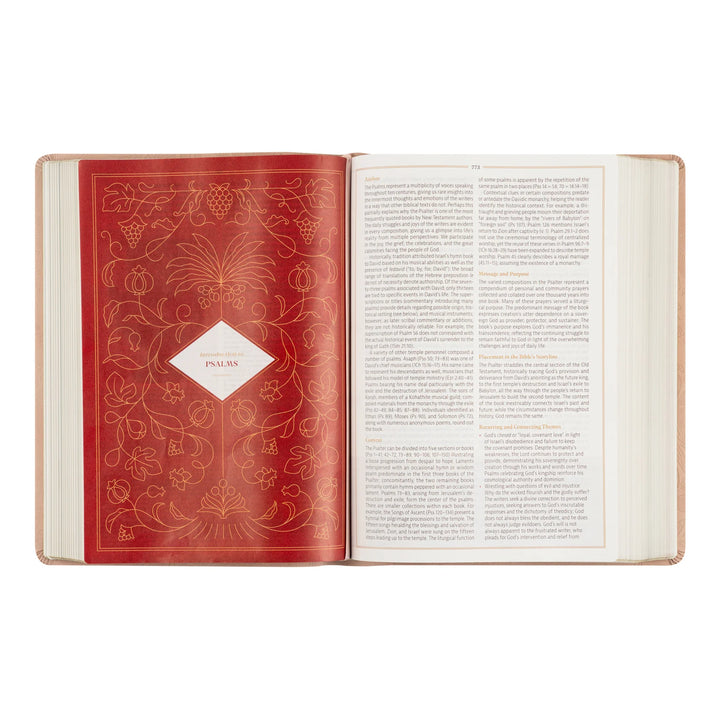 Open study Bible with decorative page and white text pages on a white background