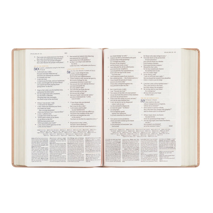 Open Bible with text on white background