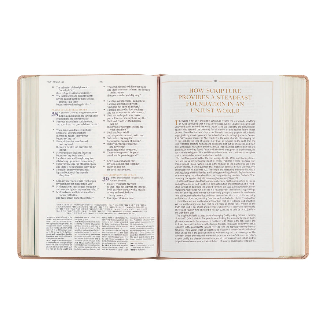 Open Bible with text on a white background