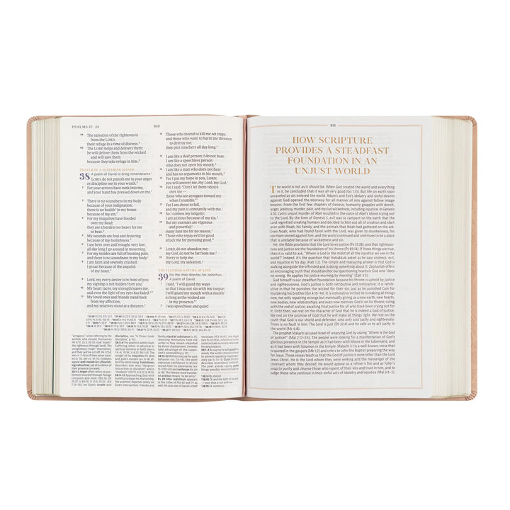 Open Bible with text on a white background