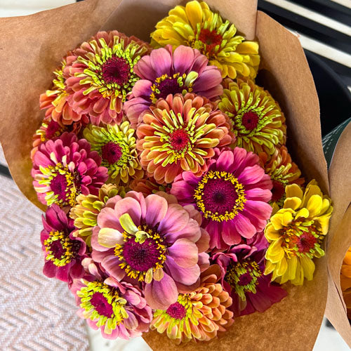 A mixed bouquet of cheerful Queeny zinnias from Branch and Bloom Farms in St. Johns, MI