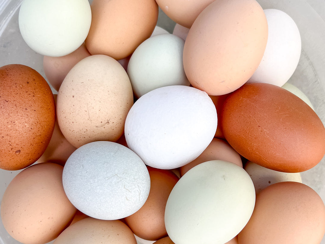 Assorted rainbow colored eggs in a pile