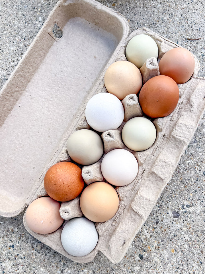 Carton of multicolored eggs on a concrete surface